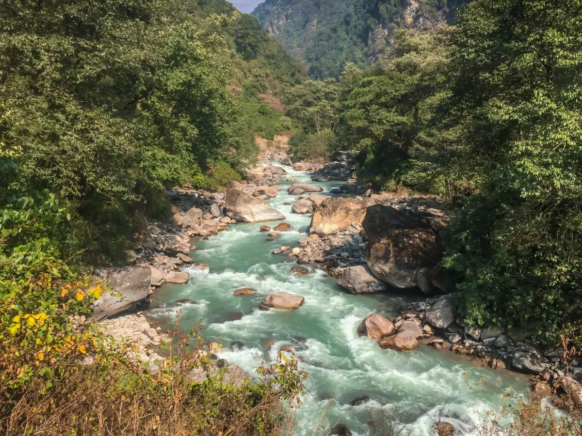 Río de montaña entre bosque